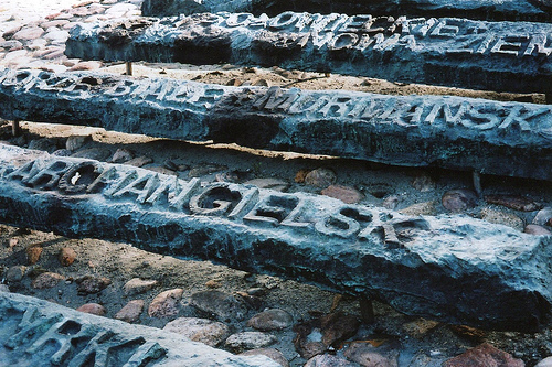 8176346589_1d954c1f15