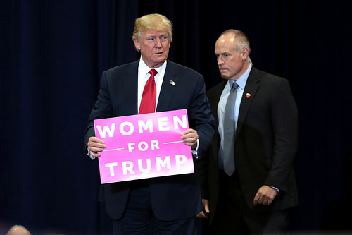 30020895253_5f4c5a74c6