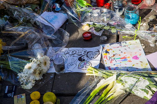 25685953774_fea12d639a